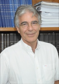 Foto do Prof. José Ricardo Bergmann