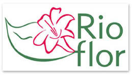 Rio flor