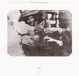 Catálogo da exposição "William Henry Fox e seu Circuito Familiar - Fotografias"